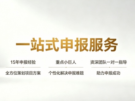 重点小巨人申报