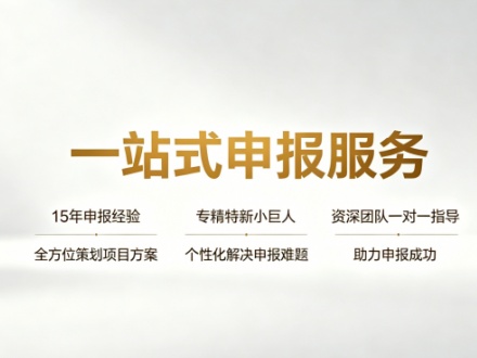专精特新小巨人申报